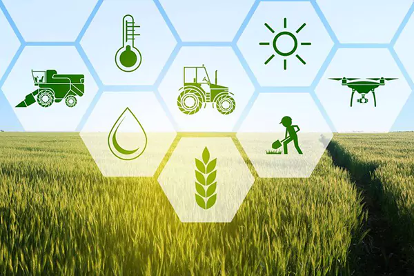agricultural-business.webp